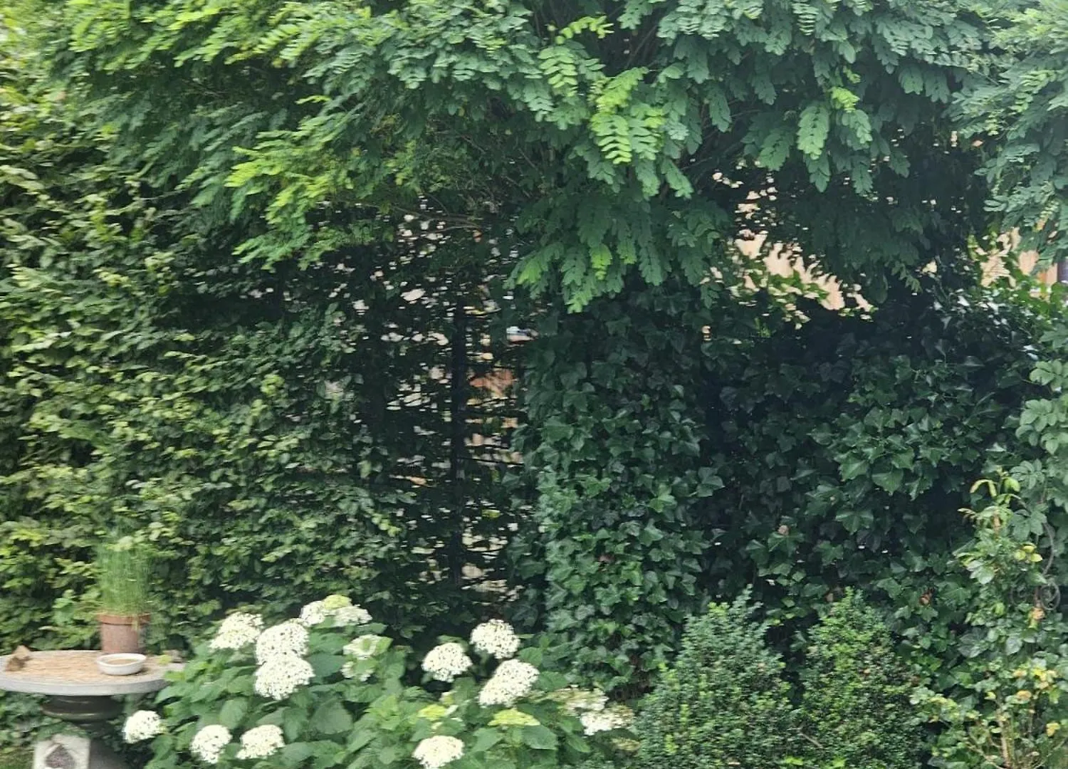 Gemuetliche Wohnung Mit Sauna Neumarkt in der Oberpfalz 0*,
